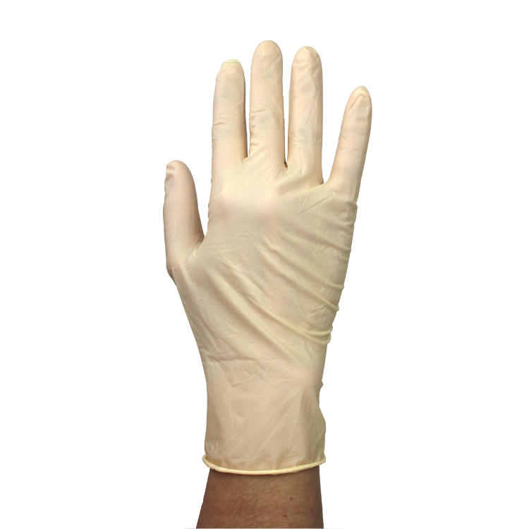 Dynarex High Risk Latex Exam Gloves