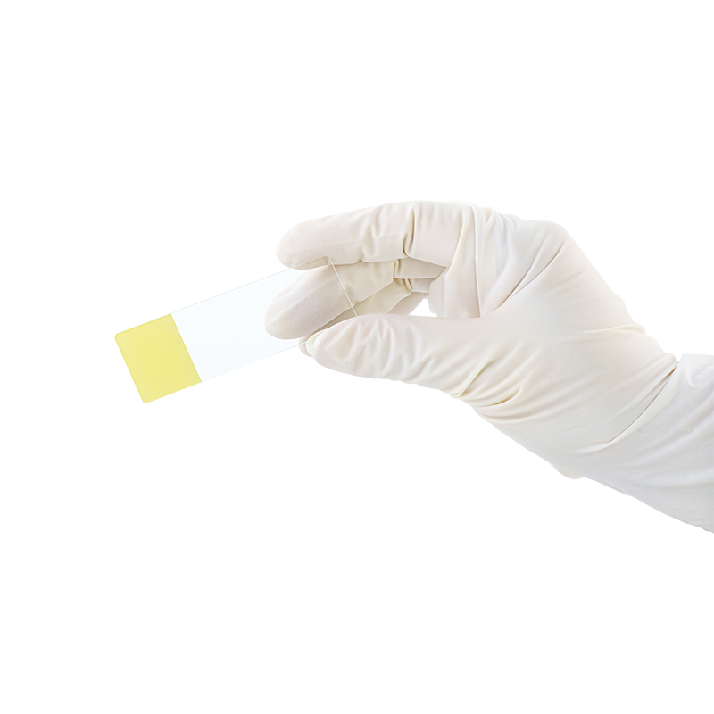 Dynarex LabChoice Microscope Slides, Frosted Yellow, corner grounded